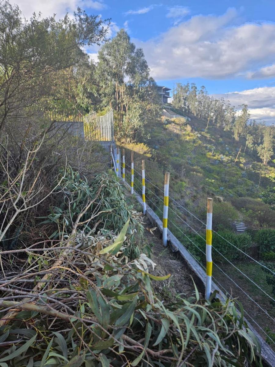 Terreno en Cumbayá — imagen 4