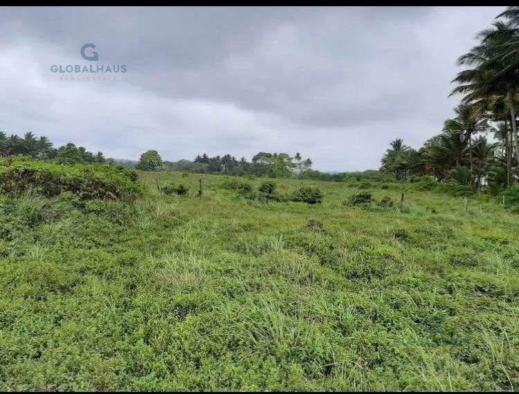 Venta Terreno en La Playa Muisne Esmeraldas, 3.5 Ha, P. C. Provincia de Esmeraldas — imagen 5