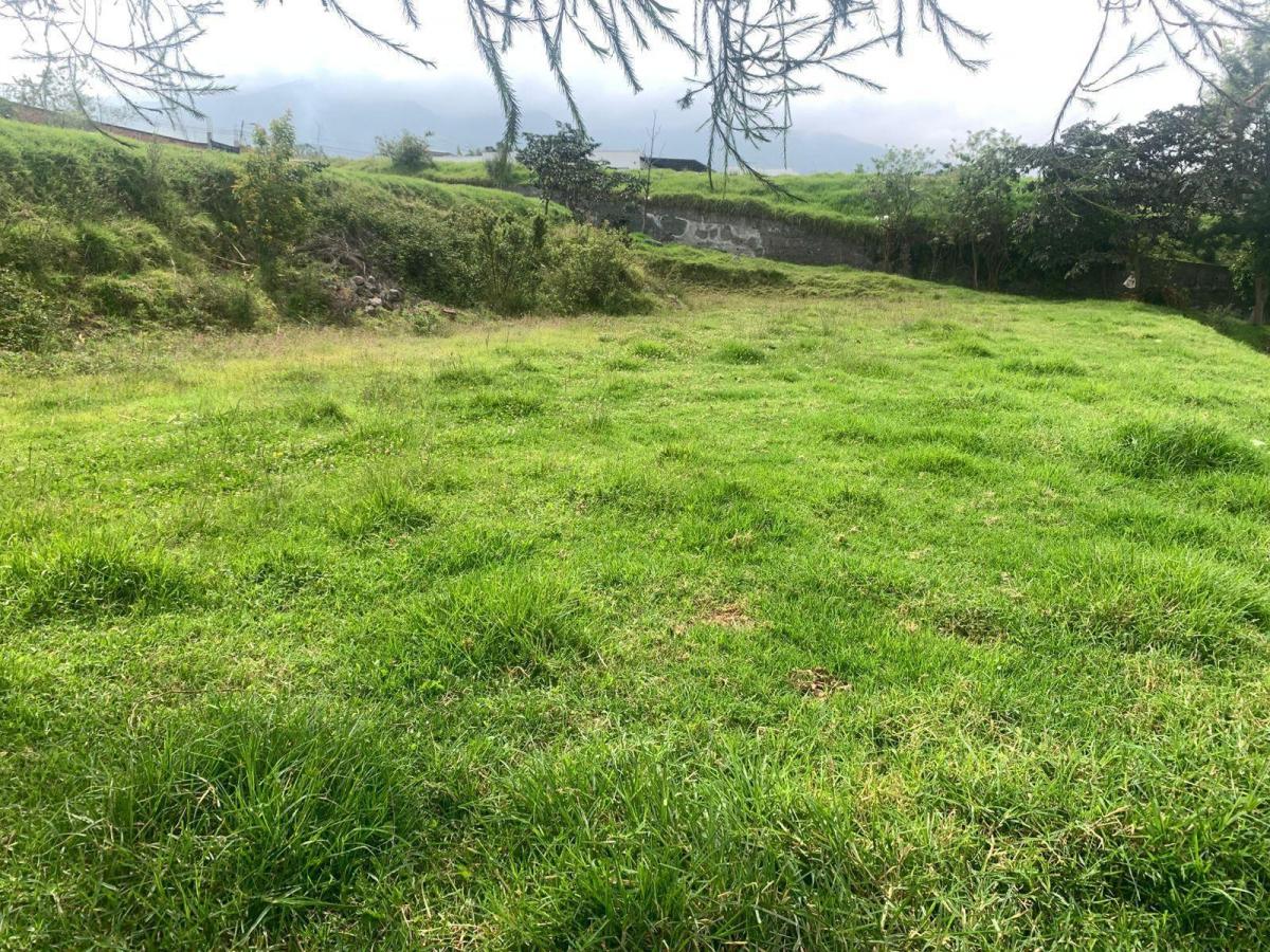 Venta Terreno El Vergel Tababela — imagen 7
