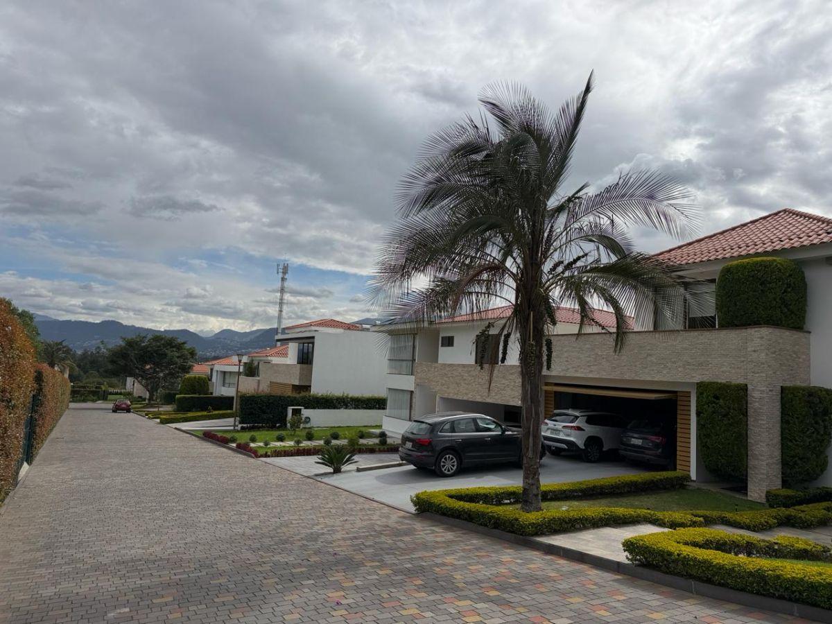 "último Lote Disponible en San Antonio de Arrayanes – Puembo 620 M²" — imagen 4