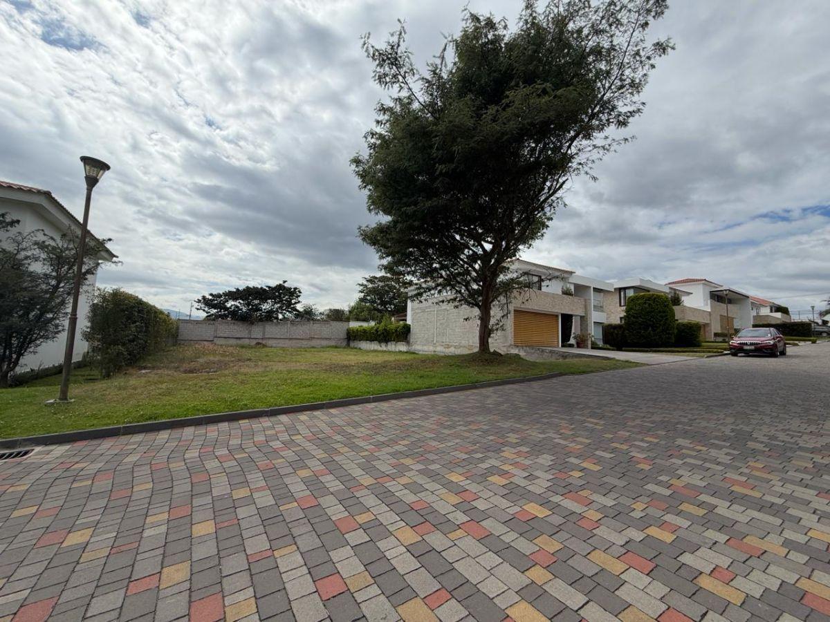 "último Lote Disponible en San Antonio de Arrayanes – Puembo 620 M²" — imagen 3