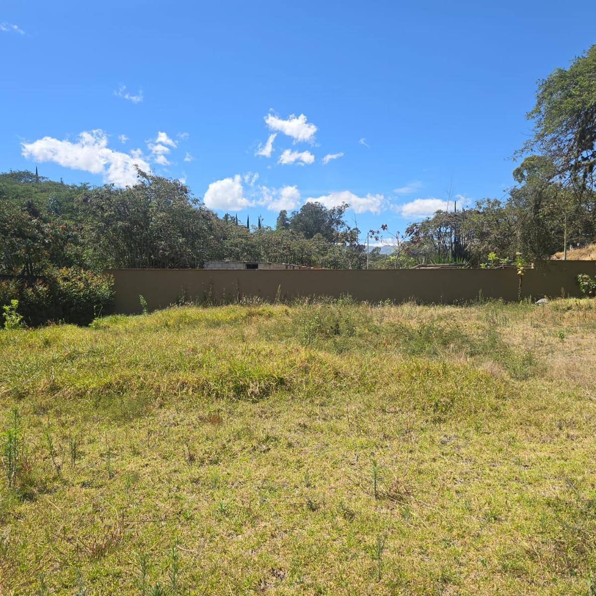Terreno Venta Riel de La Viña — imagen 10