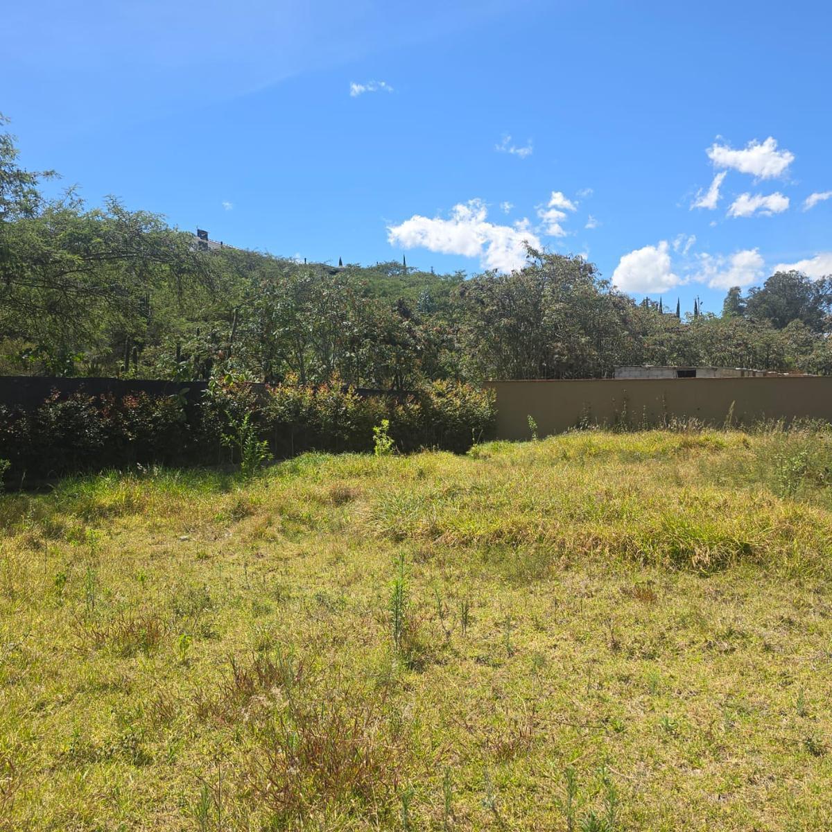 Terreno Venta Riel de La Viña — imagen 9