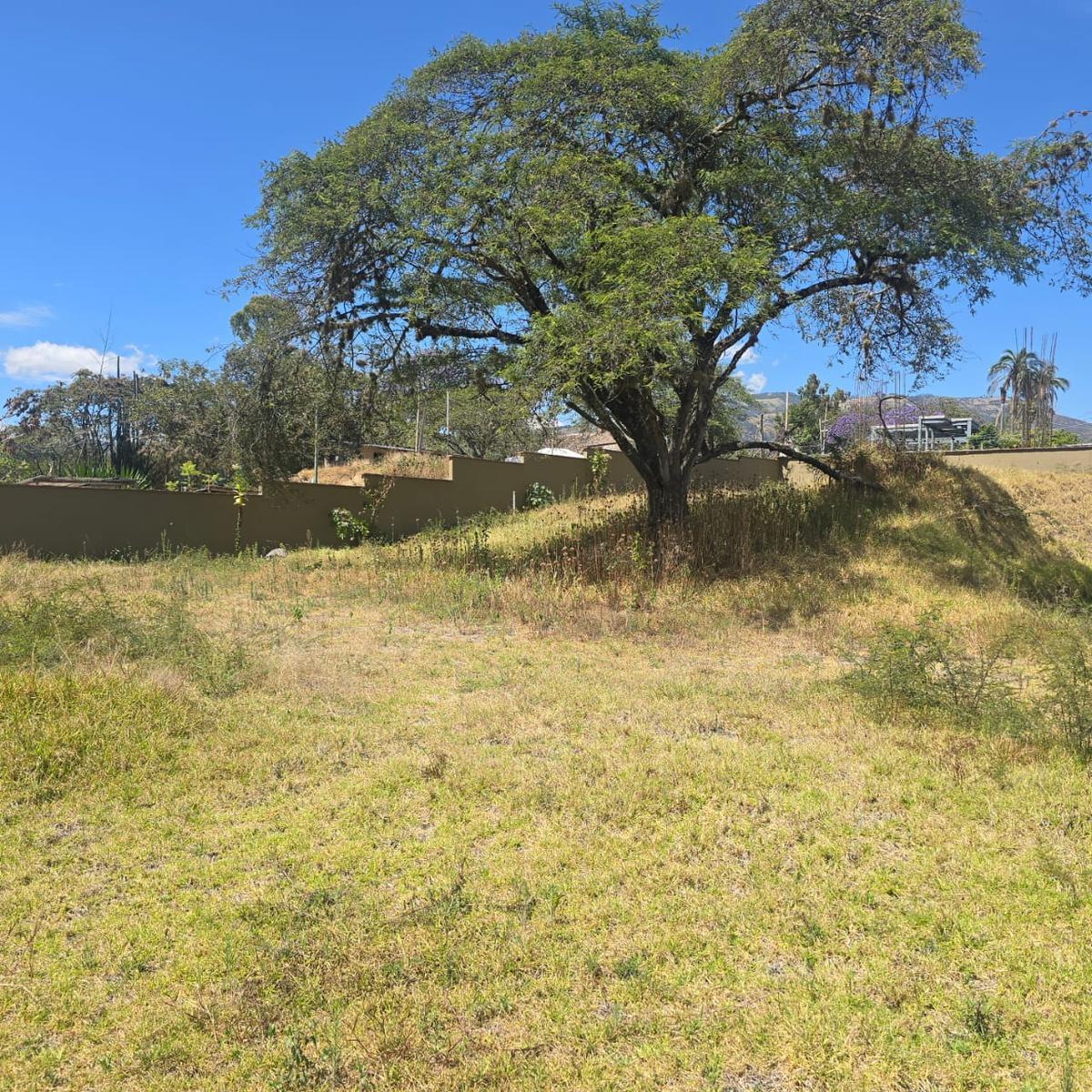 Terreno Venta Riel de La Viña — imagen 8