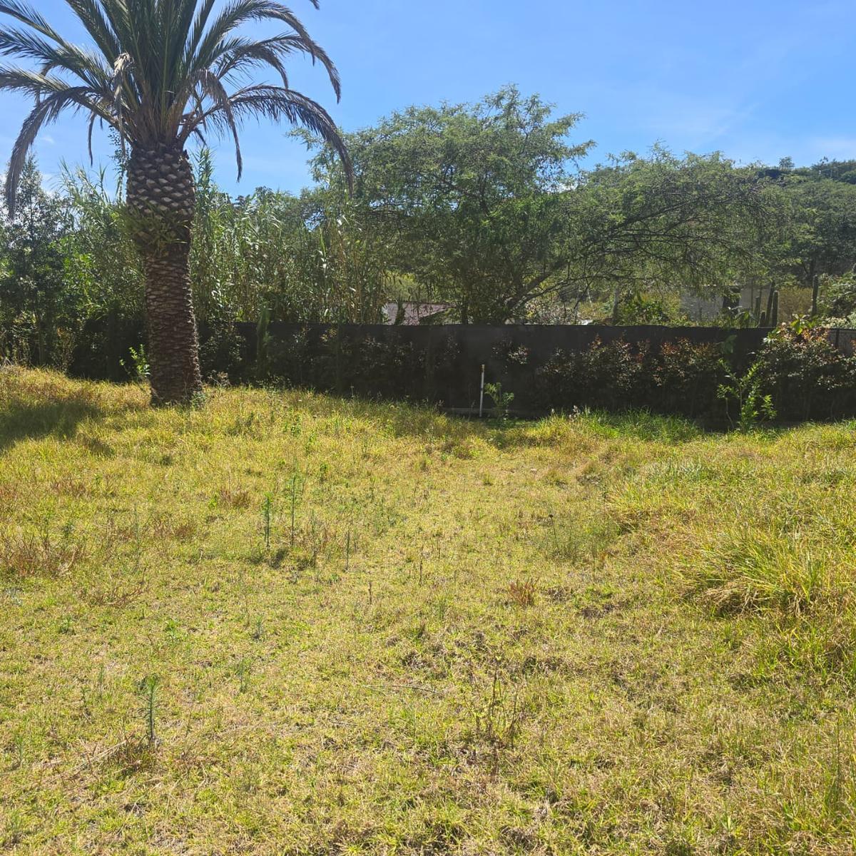 Terreno Venta Riel de La Viña — imagen 7