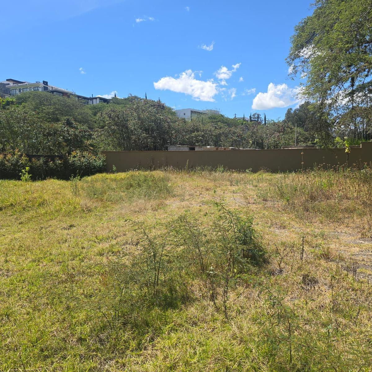 Terreno Venta Riel de La Viña — imagen 6