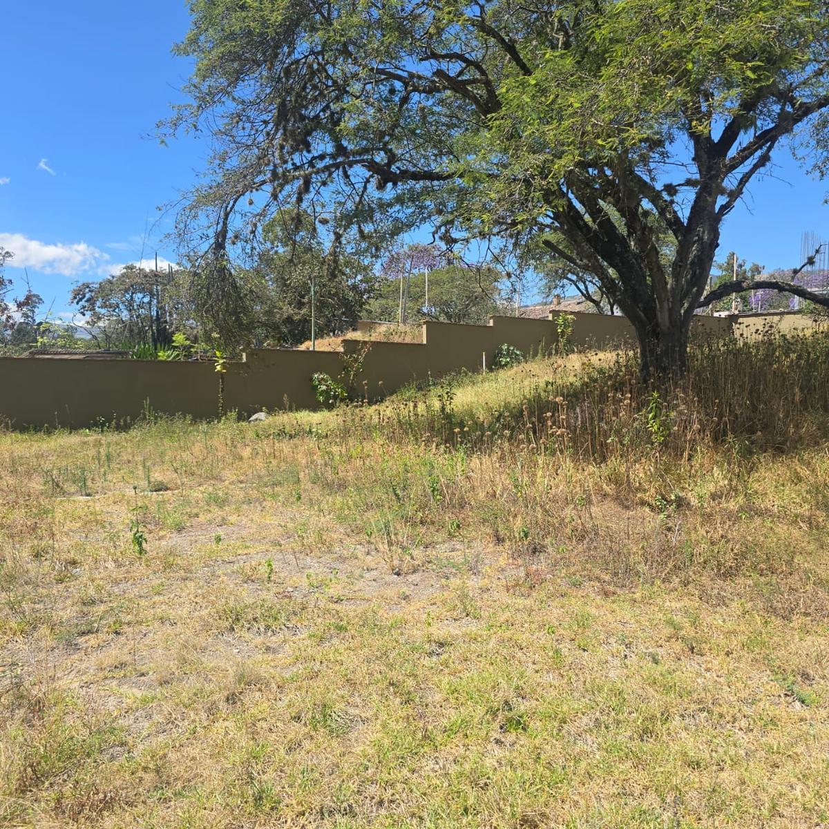 Terreno Venta Riel de La Viña — imagen 5