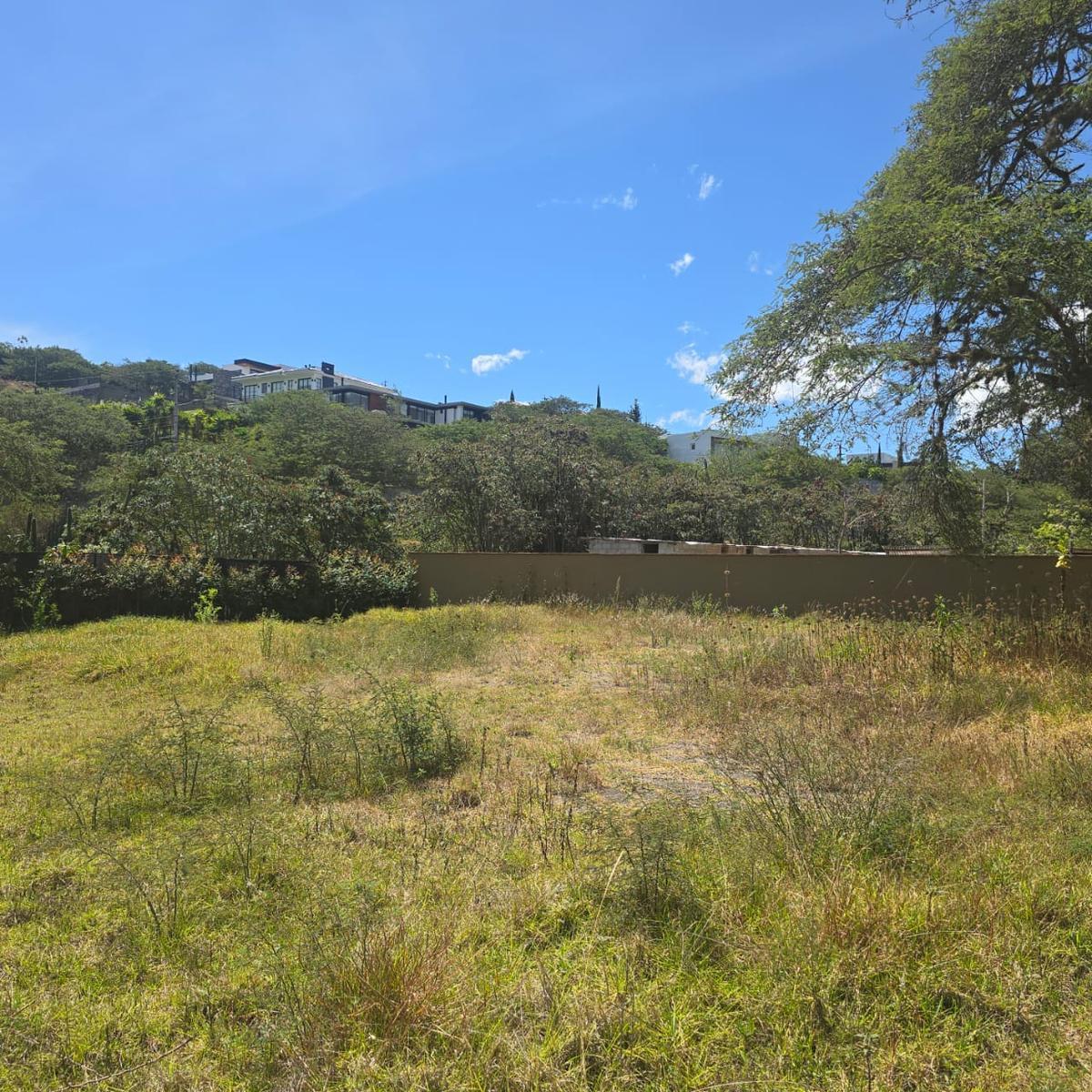 Terreno Venta Riel de La Viña — imagen 3