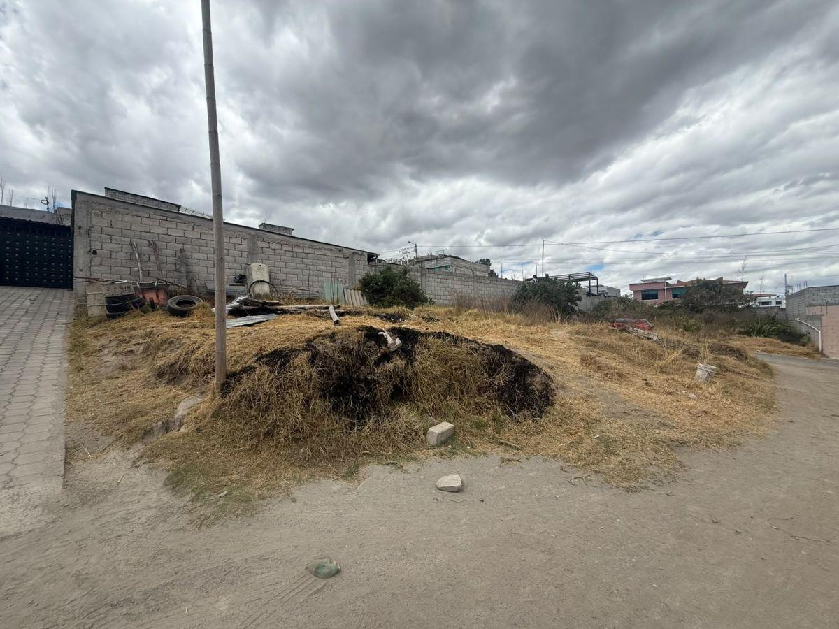 Terreno Esquinero en Venta Calderón Barrio La Tola_ 207,61 m² — imagen 5