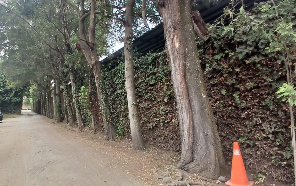 Terreno de Venta en Tumbaco Ideal Para Constructores — imagen 4