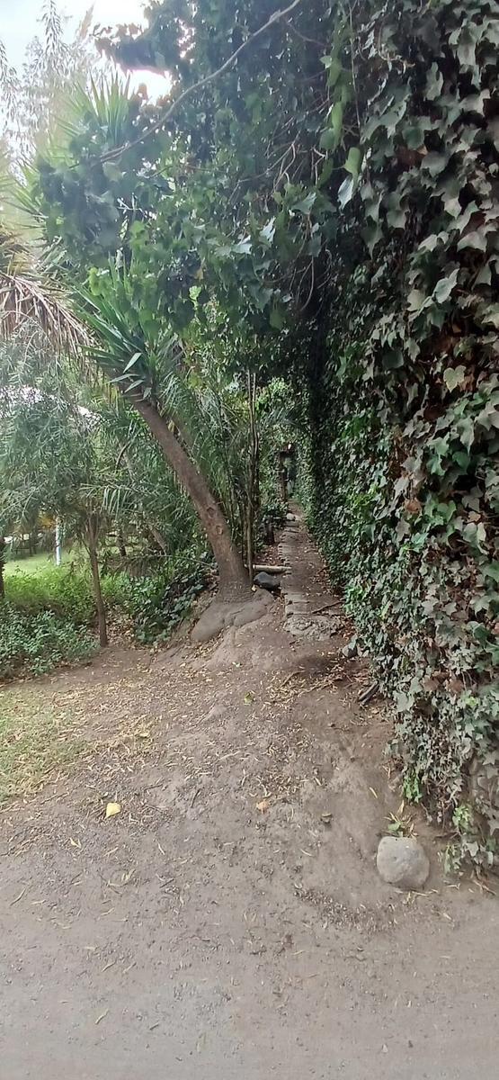Terreno de Venta en Tumbaco Ideal Para Constructores — imagen 3
