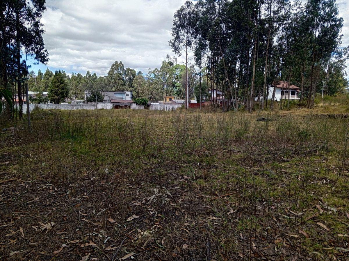 Terreno Suelo Urbano Residencial en Alangasí — imagen 6
