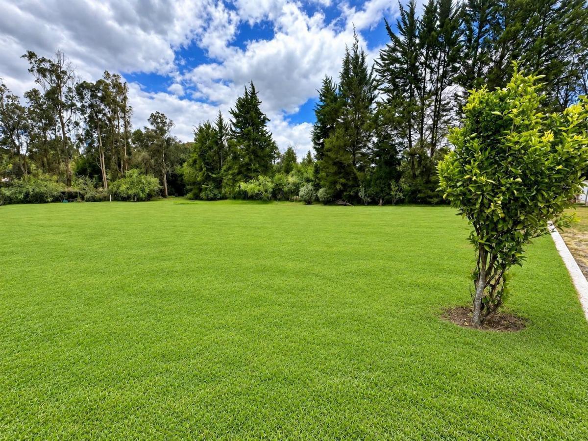 Puembo - Via Marquesina 2500 m² en Venta Terreno Bifamiliar — imagen 10