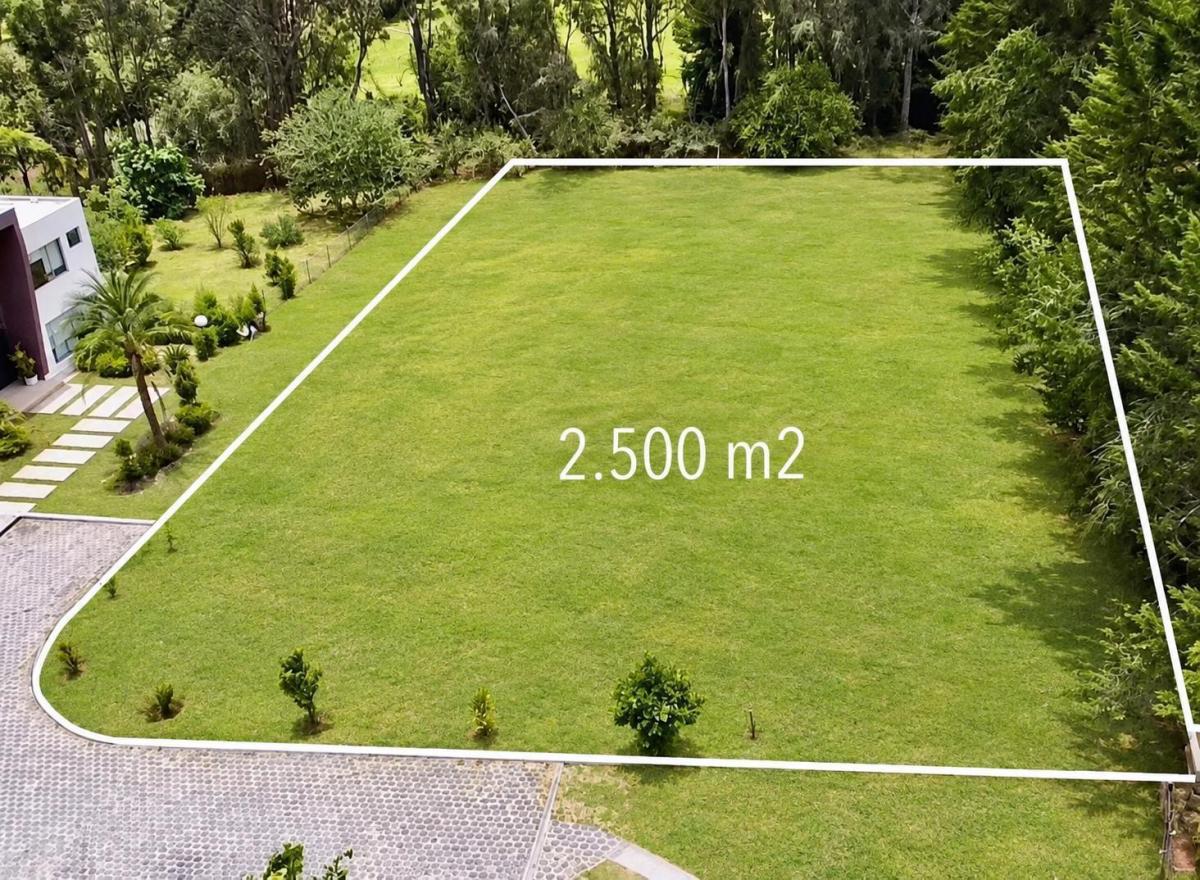 Puembo - Via Marquesina 2500 m² en Venta Terreno Bifamiliar — imagen 8