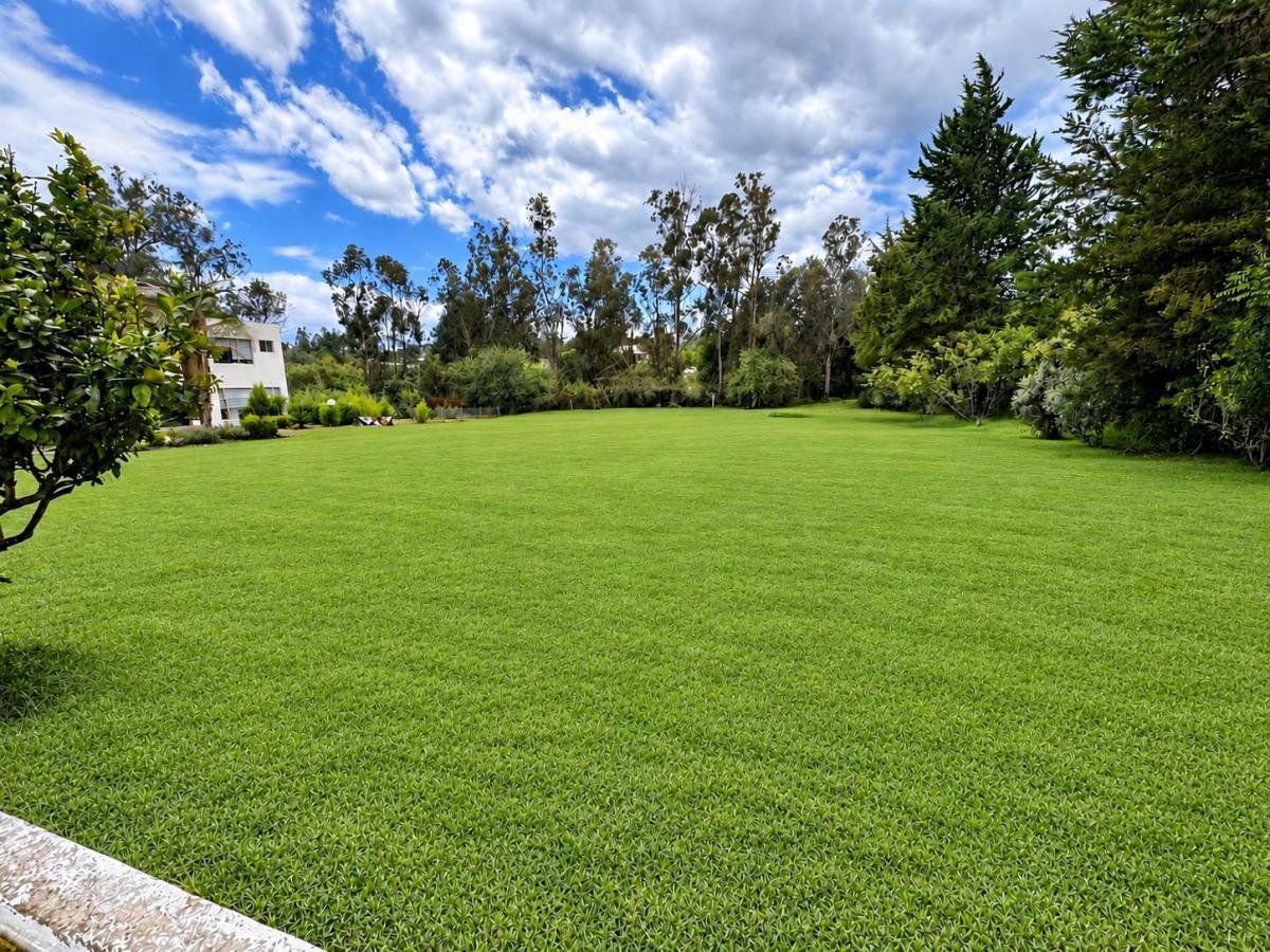 Puembo - Via Marquesina 2500 m² en Venta Terreno Bifamiliar — imagen 5