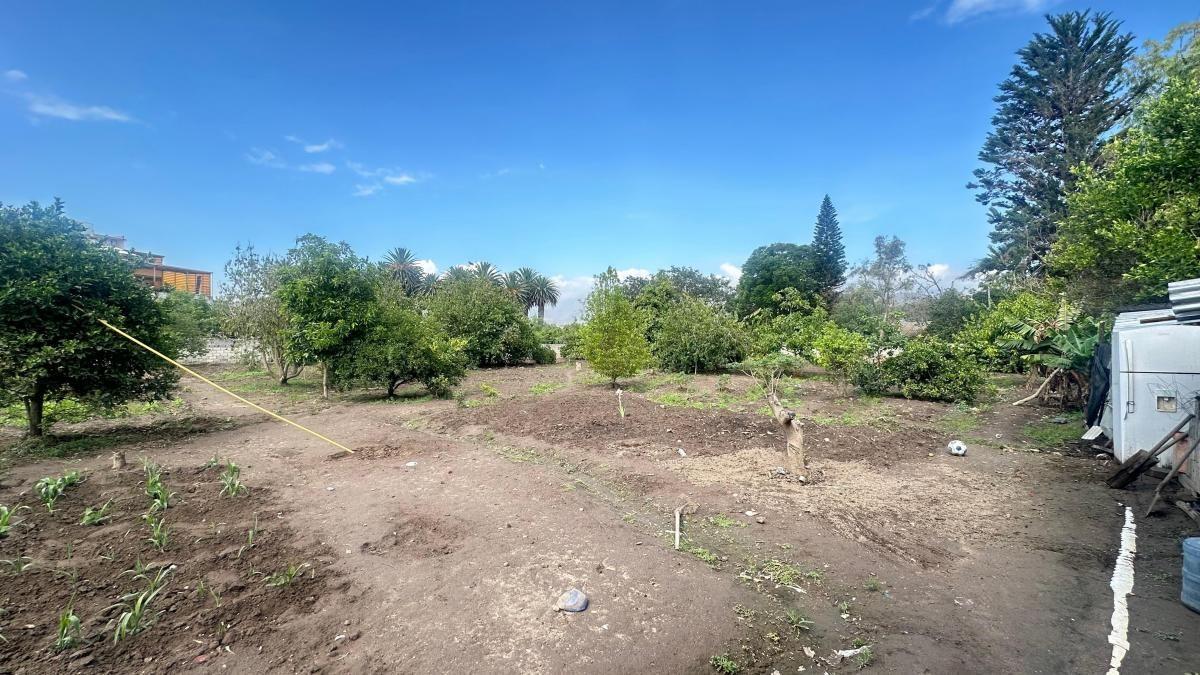 ¡Perfecto Para Proyectos Residenciales o Comerciales! Terreno 2.584 m² + Casa — imagen 9