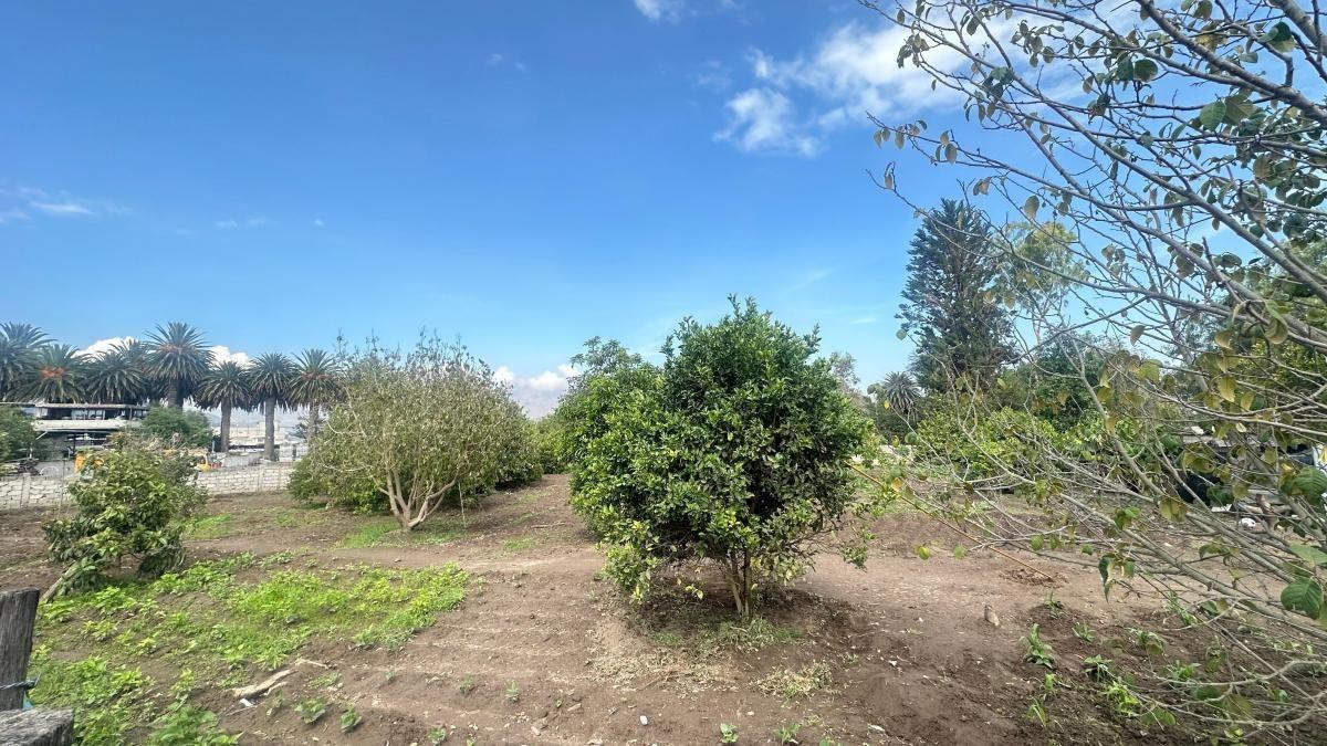 ¡Perfecto Para Proyectos Residenciales o Comerciales! Terreno 2.584 m² + Casa — imagen 8