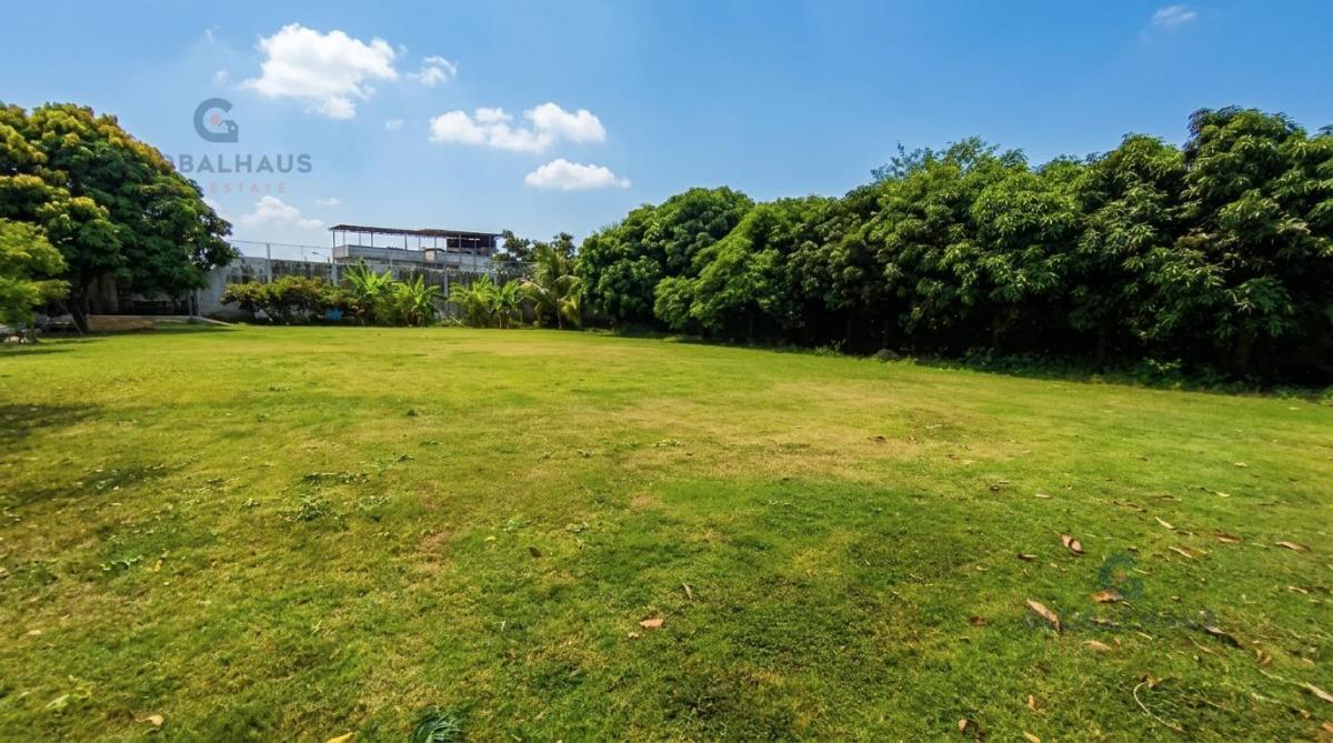 Venta Casa con Terreno de 3000 m² en Los Helechos Duran, J. C. Guayas — imagen 9