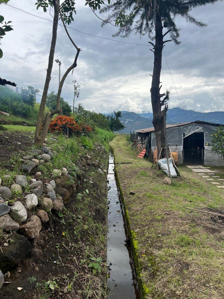 Terreno de 40000 m² en Venta en Sur de Bolívar Sector El Rosal, Carchi — imagen 8