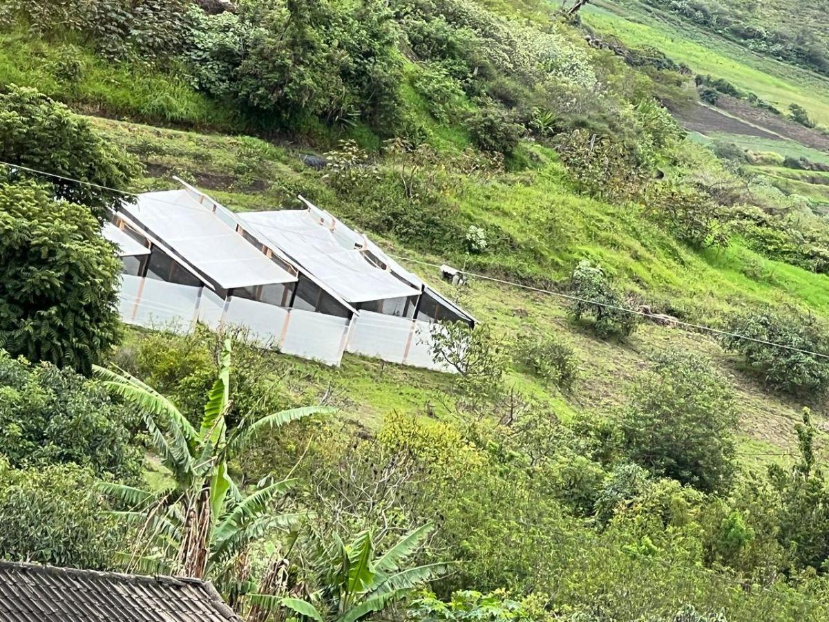 Terreno de 40000 m² en Venta en Sur de Bolívar Sector El Rosal, Carchi — imagen 7