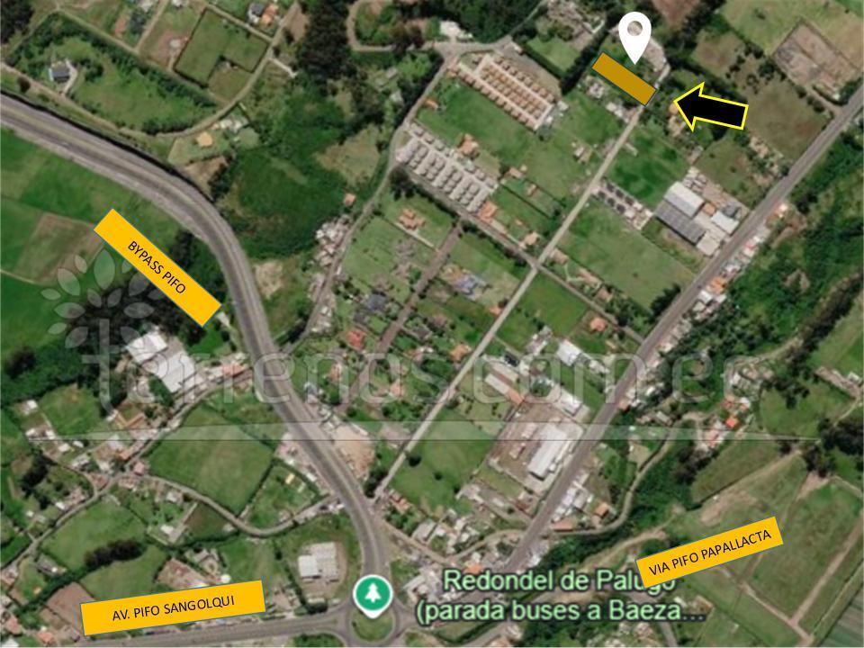 Terreno - Pifo 2700 m² — imagen 5