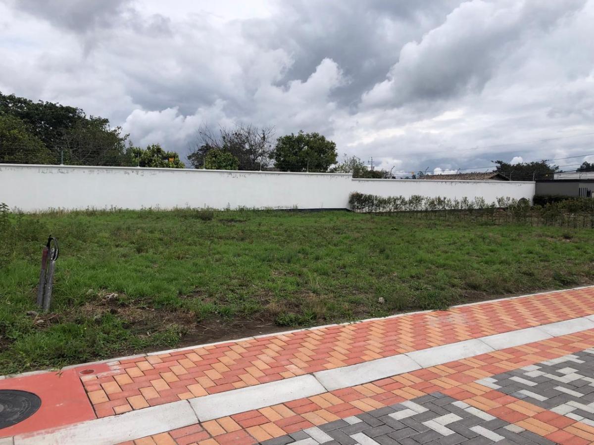 Vendo Terreno Esquinero 516 m² Plano Santa Rosa — imagen 9