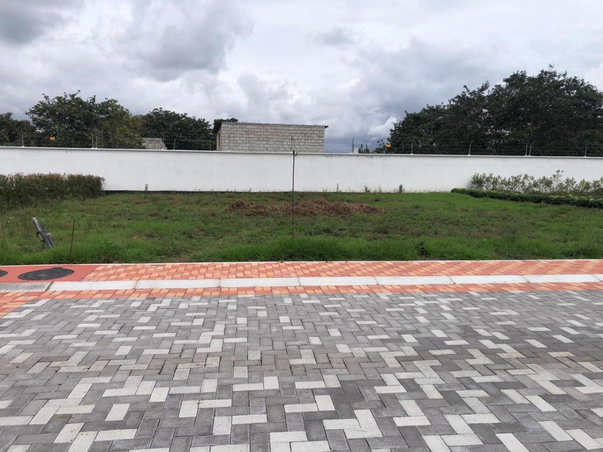 Vendo Terreno Esquinero 516 m² Plano Santa Rosa — imagen 7