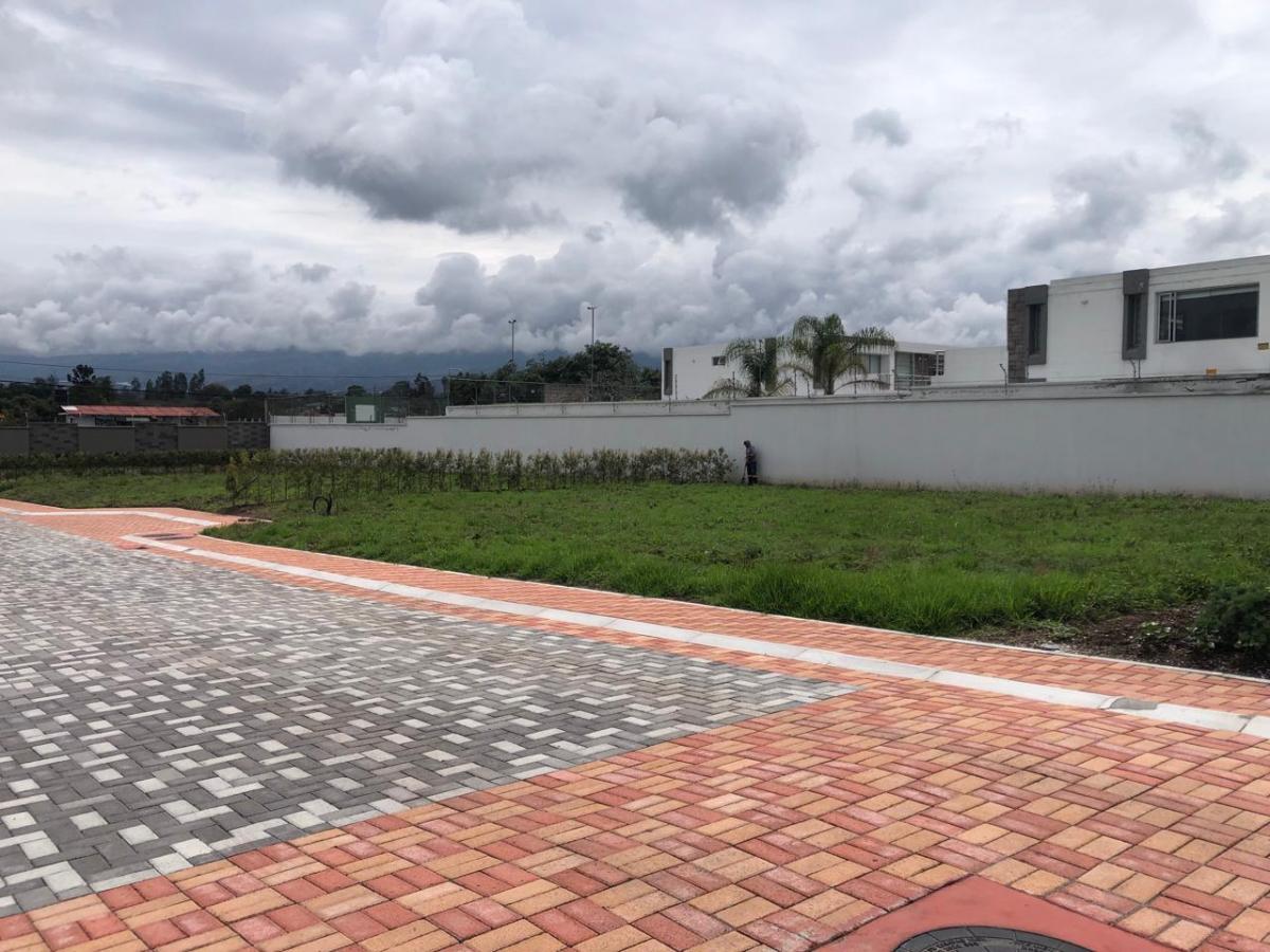 Vendo Terreno Esquinero 516 m² Plano Santa Rosa — imagen 6