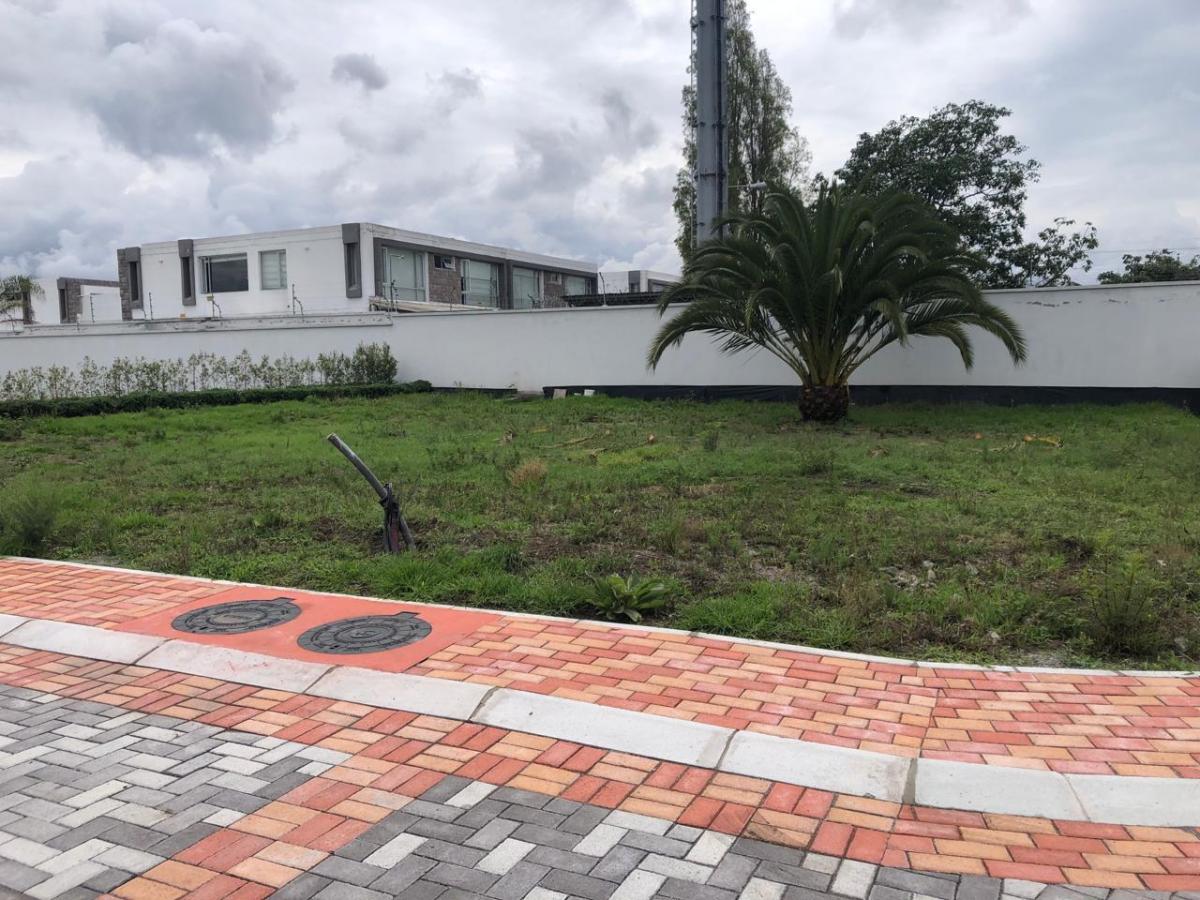 Vendo Terreno Esquinero 516 m² Plano Santa Rosa — imagen 5