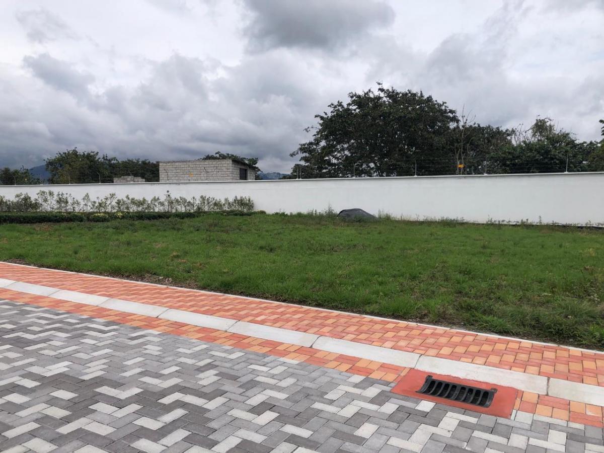 Vendo Terreno Esquinero 516 m² Plano Santa Rosa — imagen 4