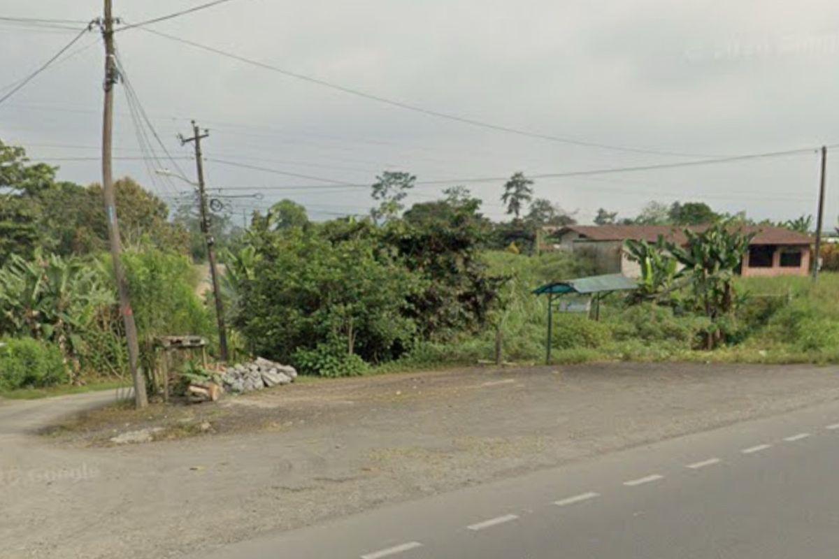 2000 m² Km12 Via Quevedo — imagen 3