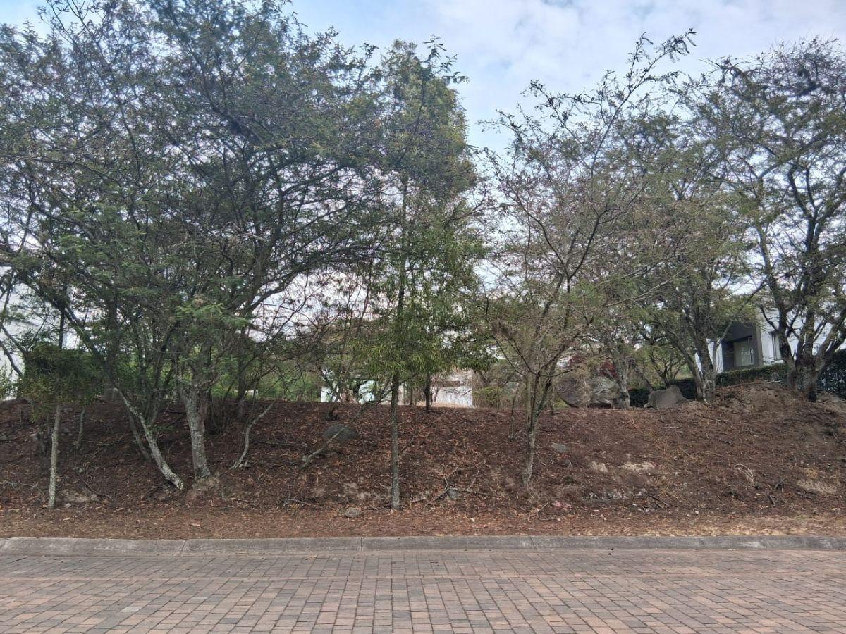 Vendo Terreno La Viña 1.000 m² Hermoso — imagen 9