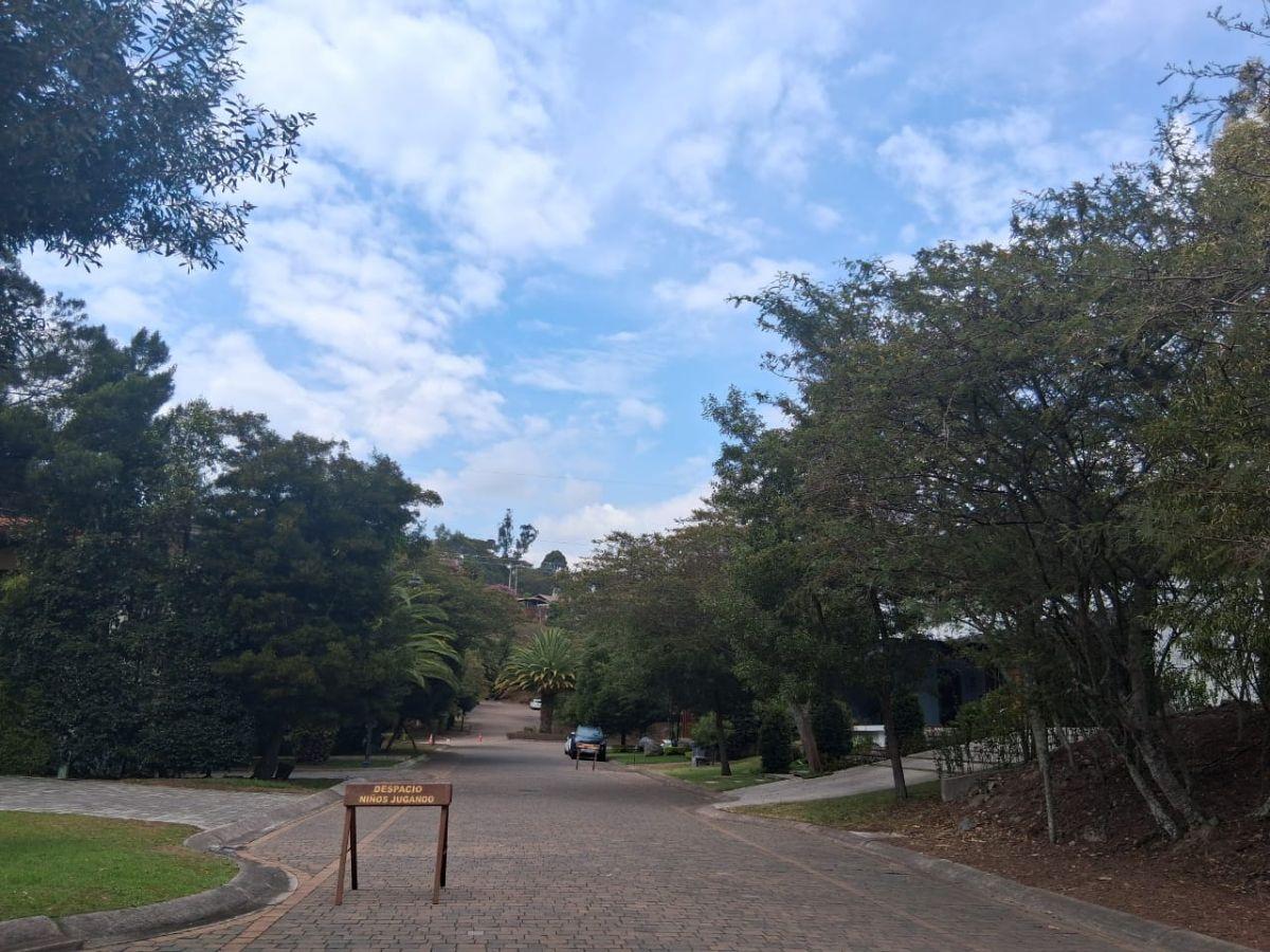 Vendo Terreno La Viña 1.000 m² Hermoso — imagen 8