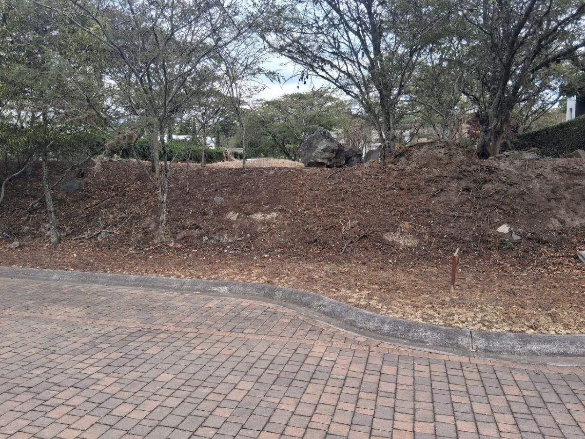 Vendo Terreno La Viña 1.000 m² Hermoso — imagen 7