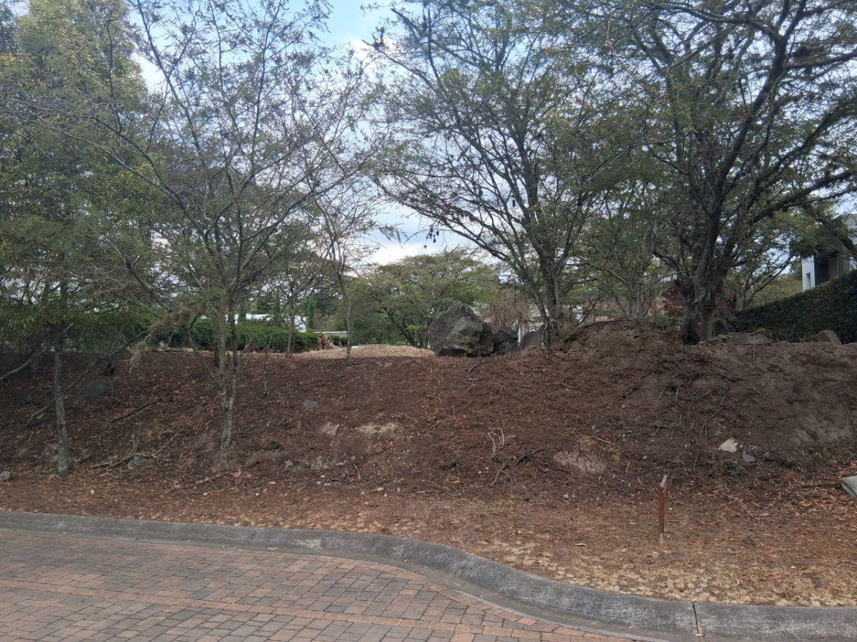 Vendo Terreno La Viña 1.000 m² Hermoso — imagen 6
