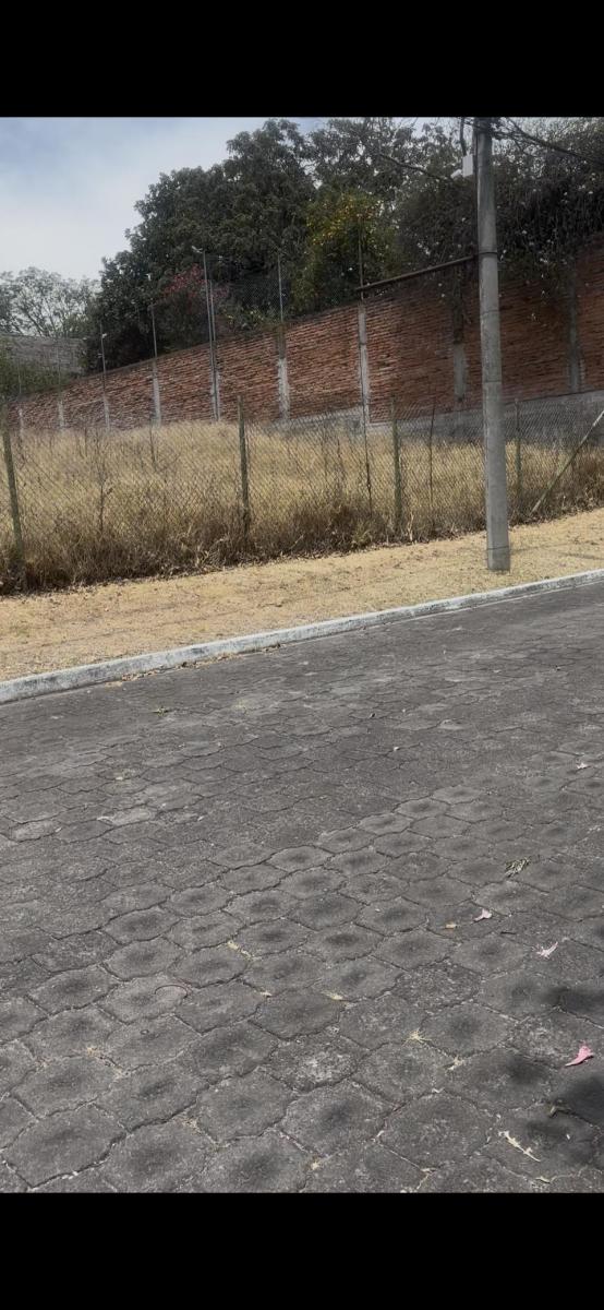 Vendo Hermoso Terreno Cumbaya Frente a un Parque Urb Cerrada Los Eucaliptos — imagen 9