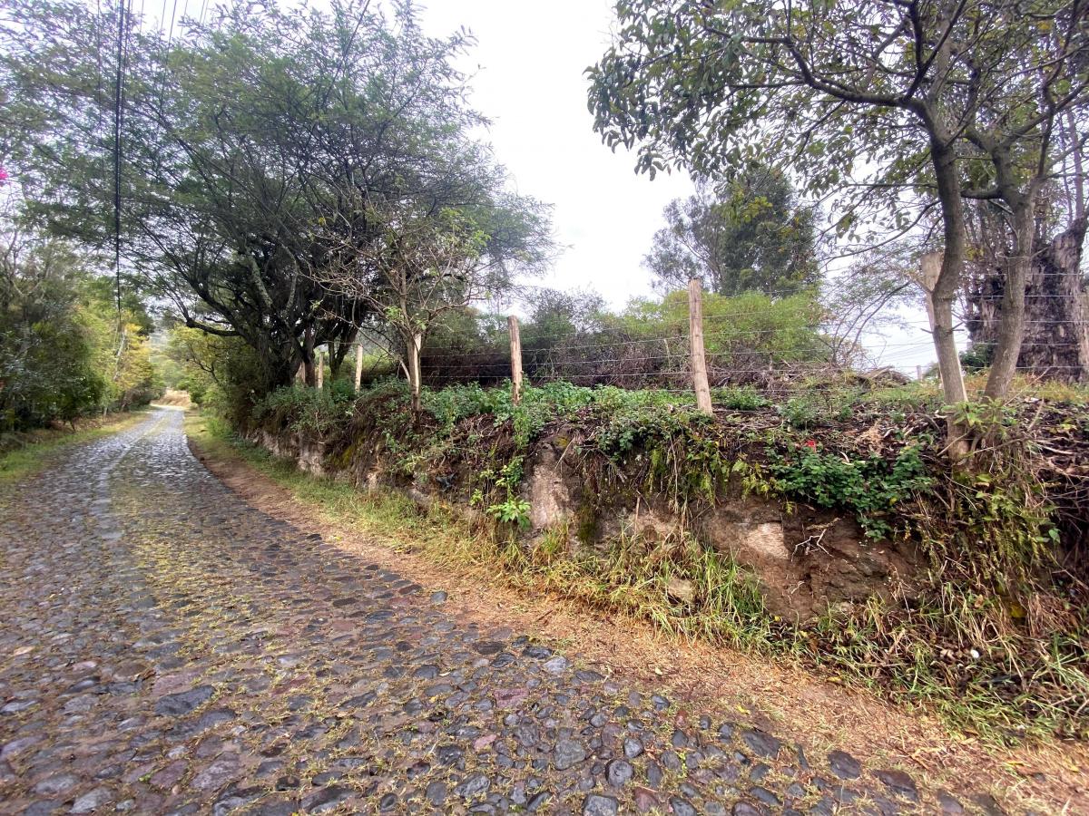 Terreno de Venta Tumbaco 4.000 m² $650.000 — imagen 8