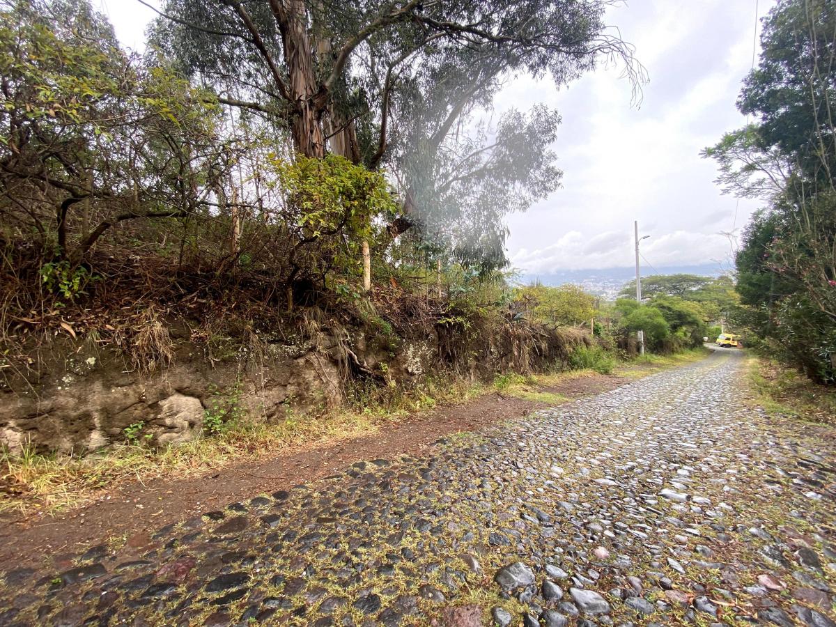 Terreno de Venta Tumbaco 4.000 m² $650.000 — imagen 7