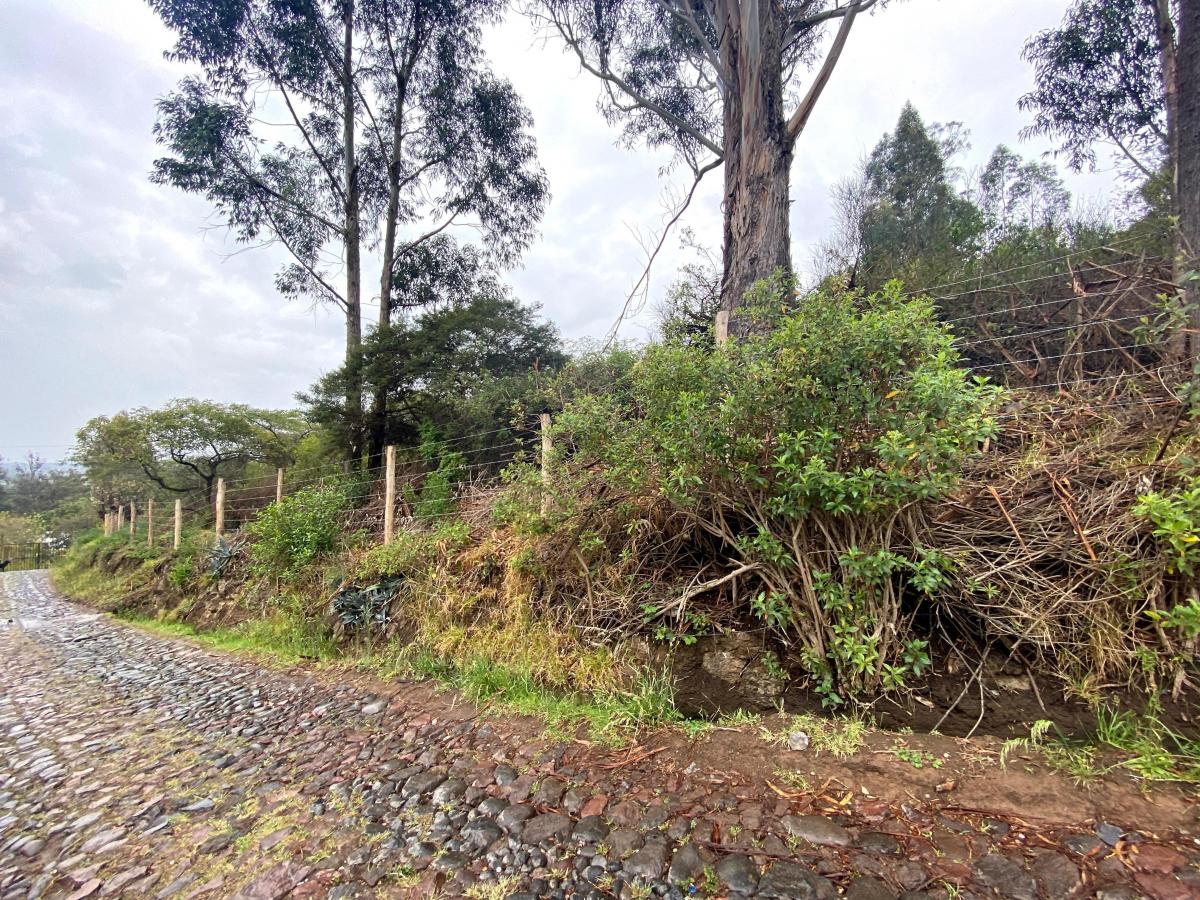 Terreno de Venta Tumbaco 4.000 m² $650.000 — imagen 6