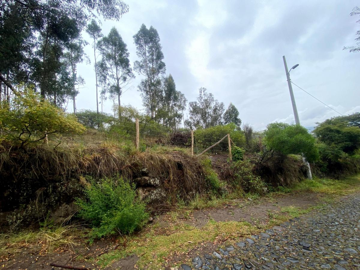 Terreno de Venta Tumbaco 4.000 m² $650.000 — imagen 5