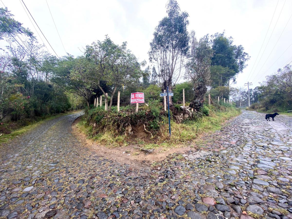 Terreno de Venta Tumbaco 4.000 m² $650.000 — imagen 4