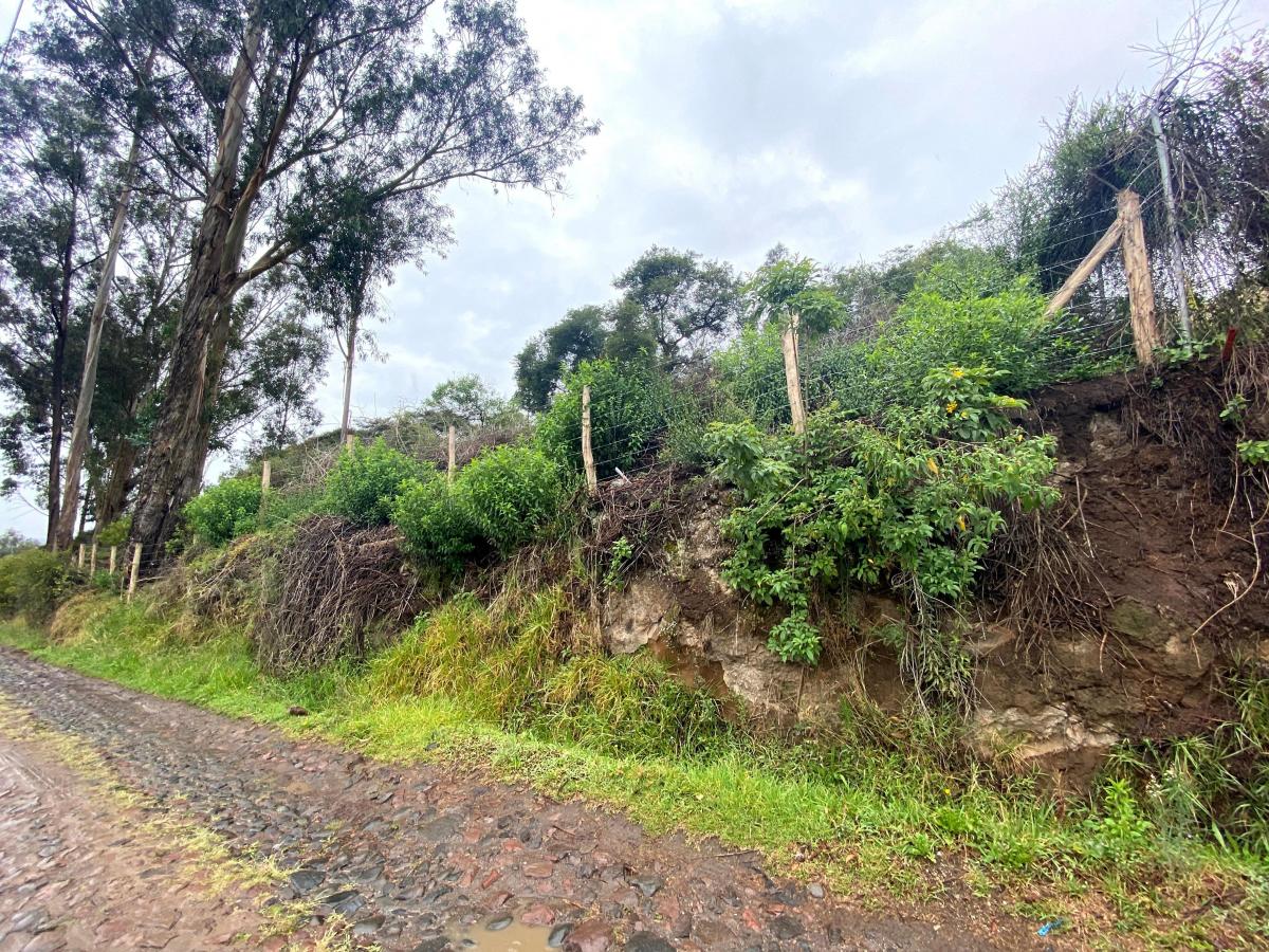Terreno de Venta Tumbaco 4.000 m² $650.000 — imagen 3