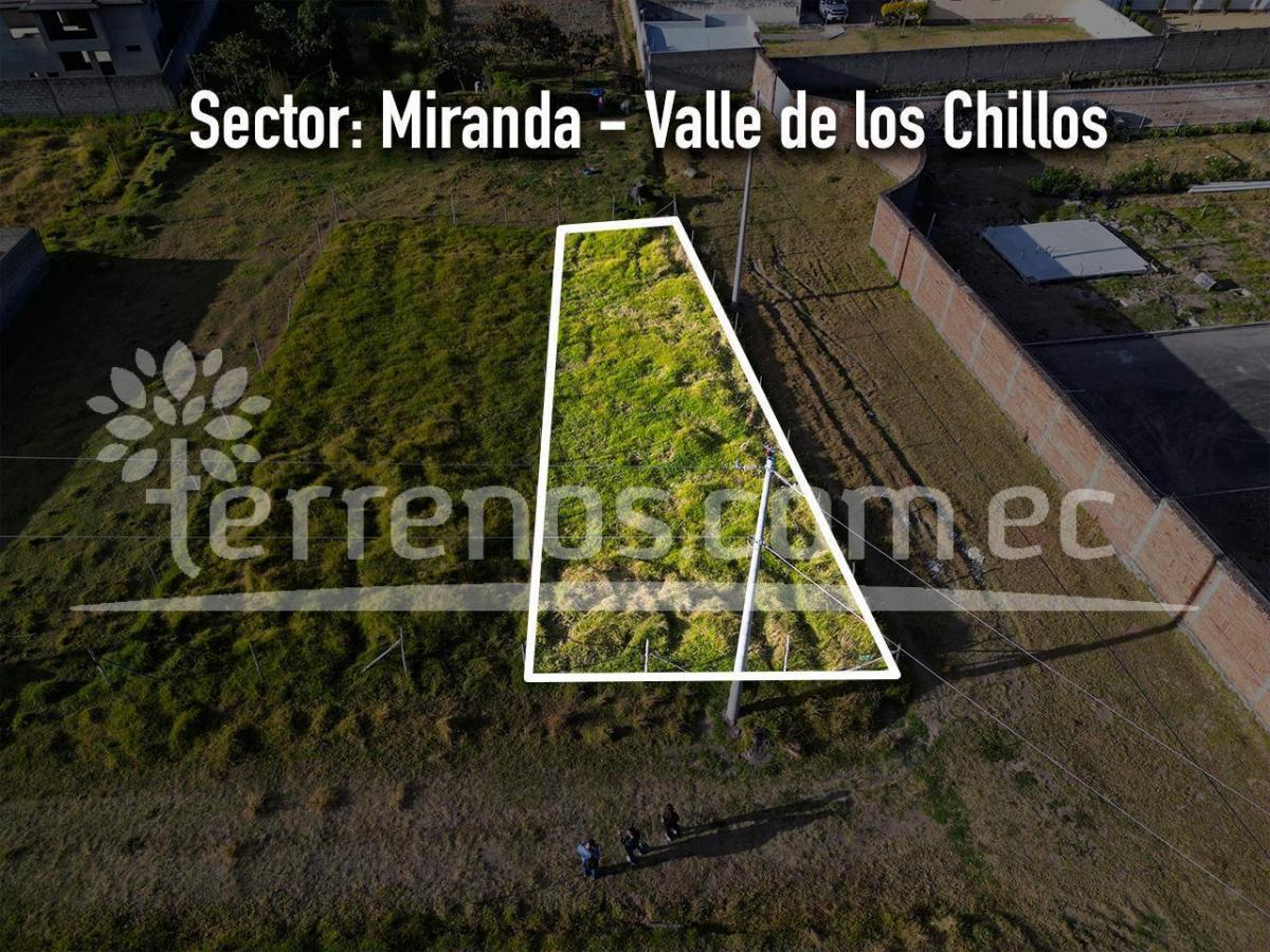 Terreno en Venta 256 m², Sector Miranda Cerca Plaza Agapanthus — imagen 6
