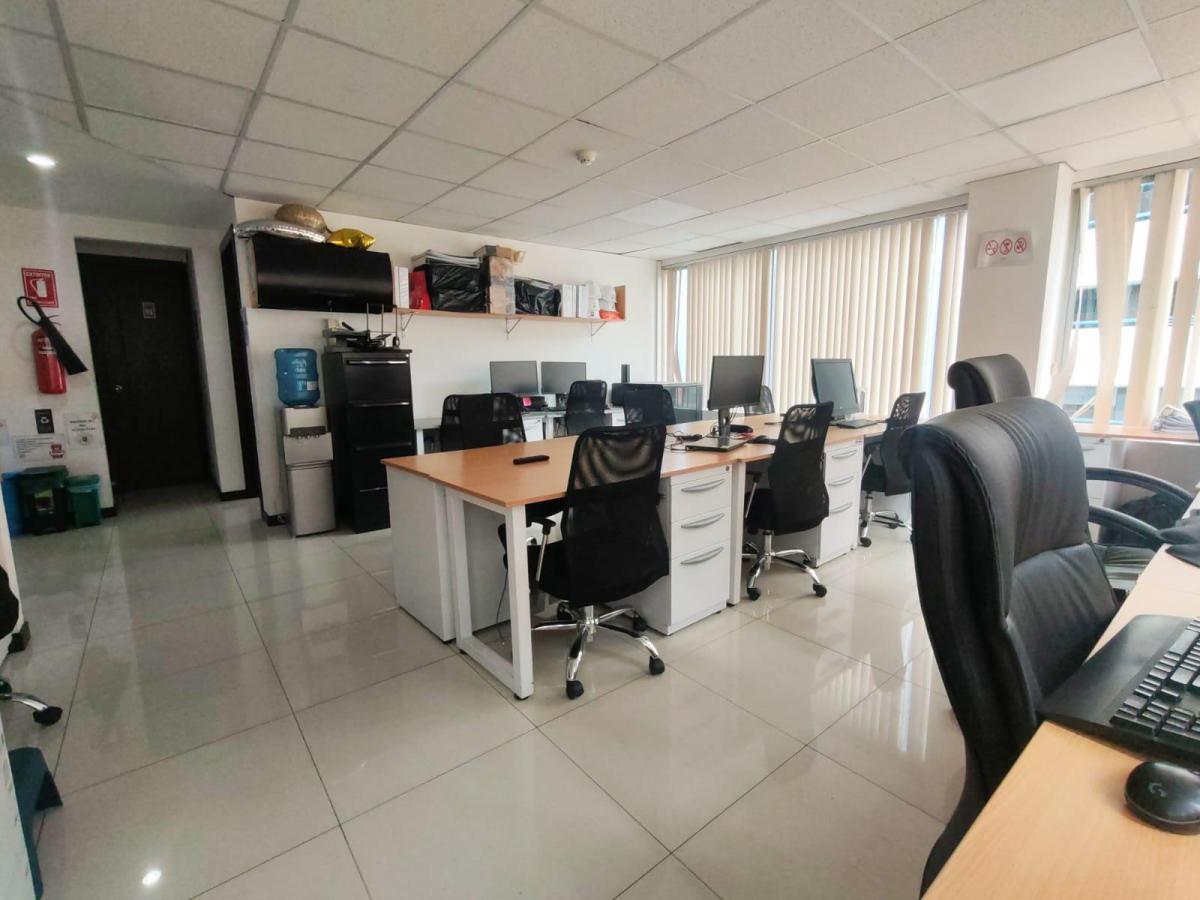 Oficina de Venta Sector La Carolina — imagen 9