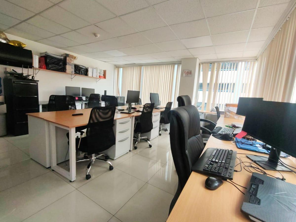 Oficina de Venta Sector La Carolina — imagen 8
