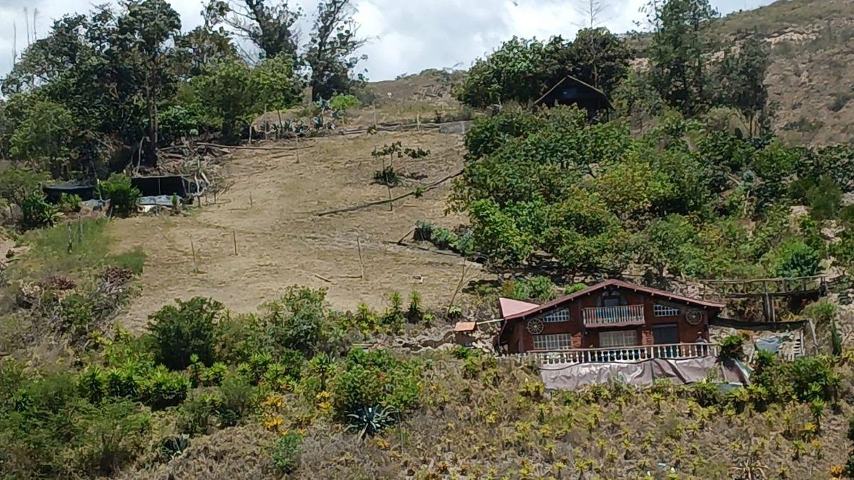 Vendo Terreno 20.000 m² Guayllabamba — imagen 6