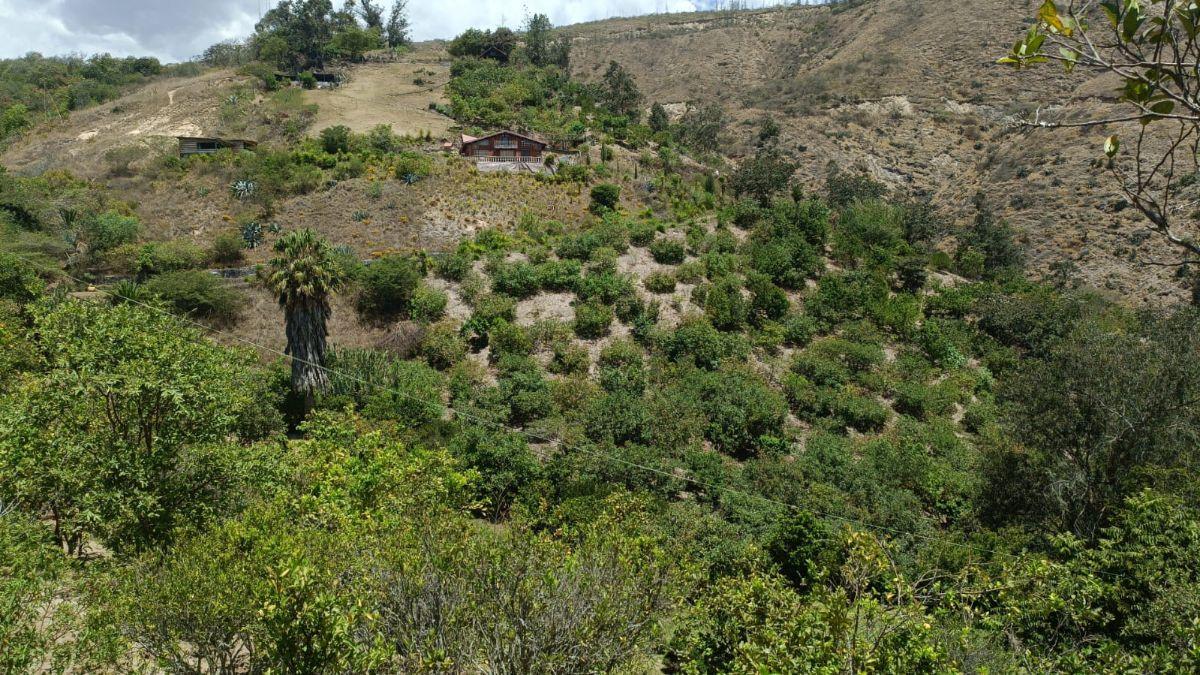 Vendo Terreno 20.000 m² Guayllabamba — imagen 5