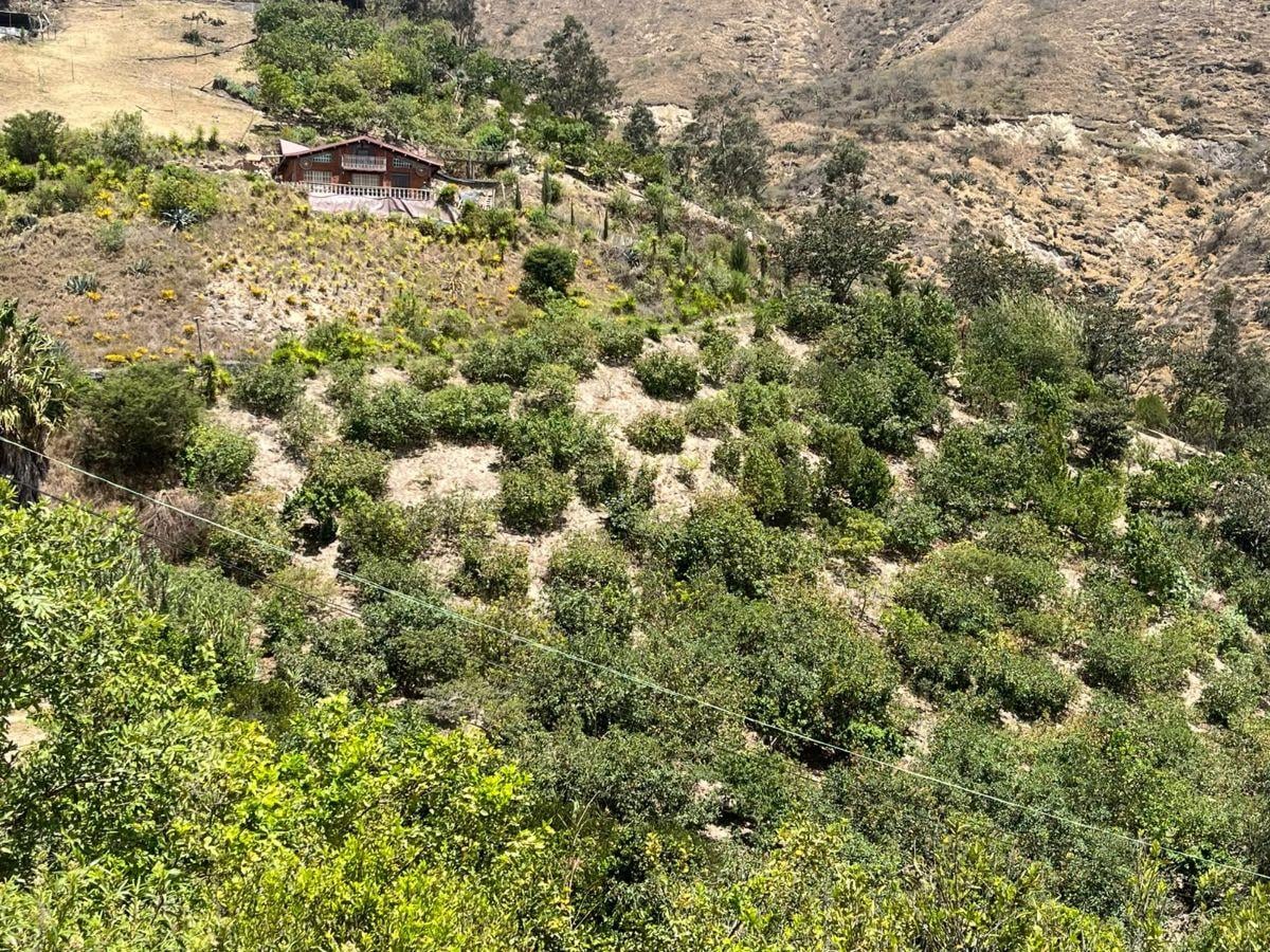 Vendo Terreno 20.000 m² Guayllabamba — imagen 4