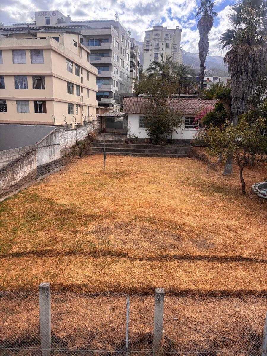 Vendo Increíble Terreno Para en Plena Ciudad Calle San Francisco y Manuel Echeverría 81 m Frente — imagen 10