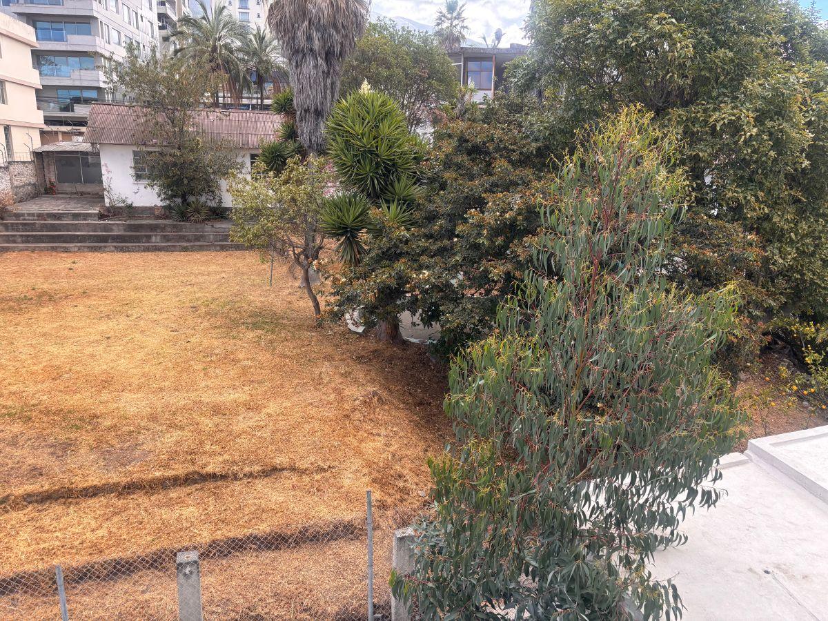 Vendo Increíble Terreno Para en Plena Ciudad Calle San Francisco y Manuel Echeverría 81 m Frente — imagen 9